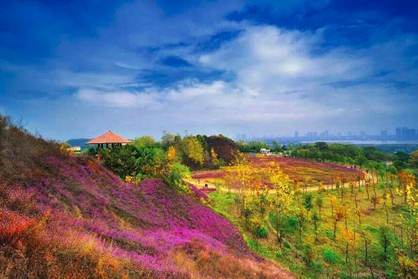 銅綠山古銅礦遺址_旅遊景點_騰旅旅遊_湖北旅遊年卡_武漢旅遊年卡